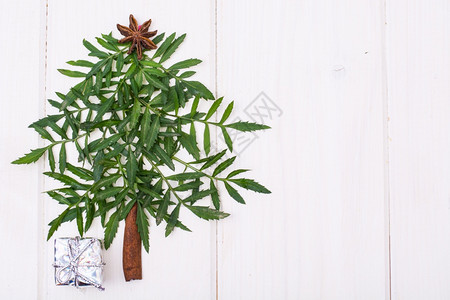 由白板上的花园植物制成最小圣诞树新年概念工作室照片图片