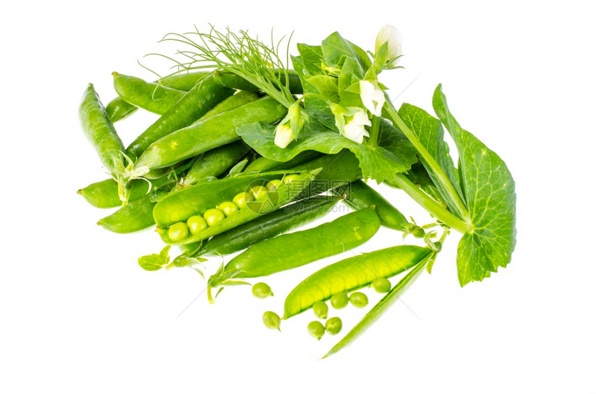 白色背景的成熟绿豆片工作室照白色背景的成熟绿豆片白色背景的成熟绿豆片图片