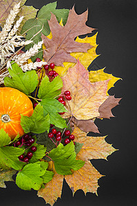 胡桃南瓜旱叶小栗子南瓜的秋季成分工作室照片干叶南瓜的秋季成分背景