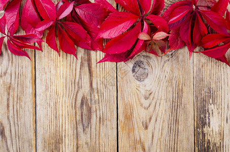 旧木板表面上有红秋叶工作室照片旧木板表面上有红秋叶上面有红叶图片