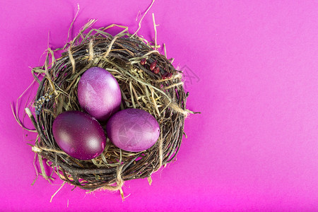 紫色背景的复活节鸡蛋窝图片
