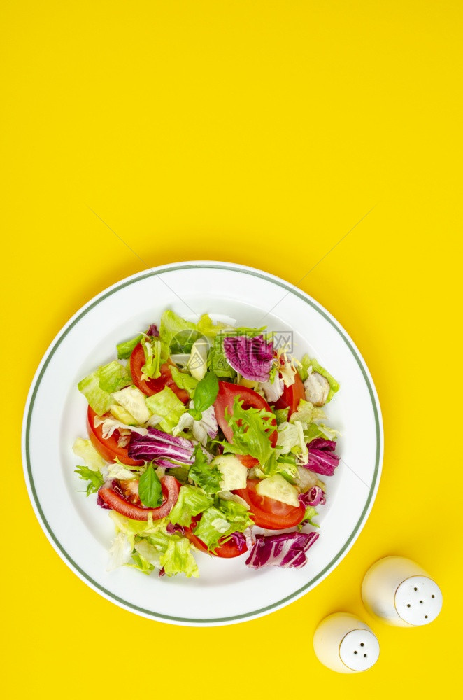 健康生活方式概念工作室照片浅食品素沙拉光品色素拉健康生活方式概念图片