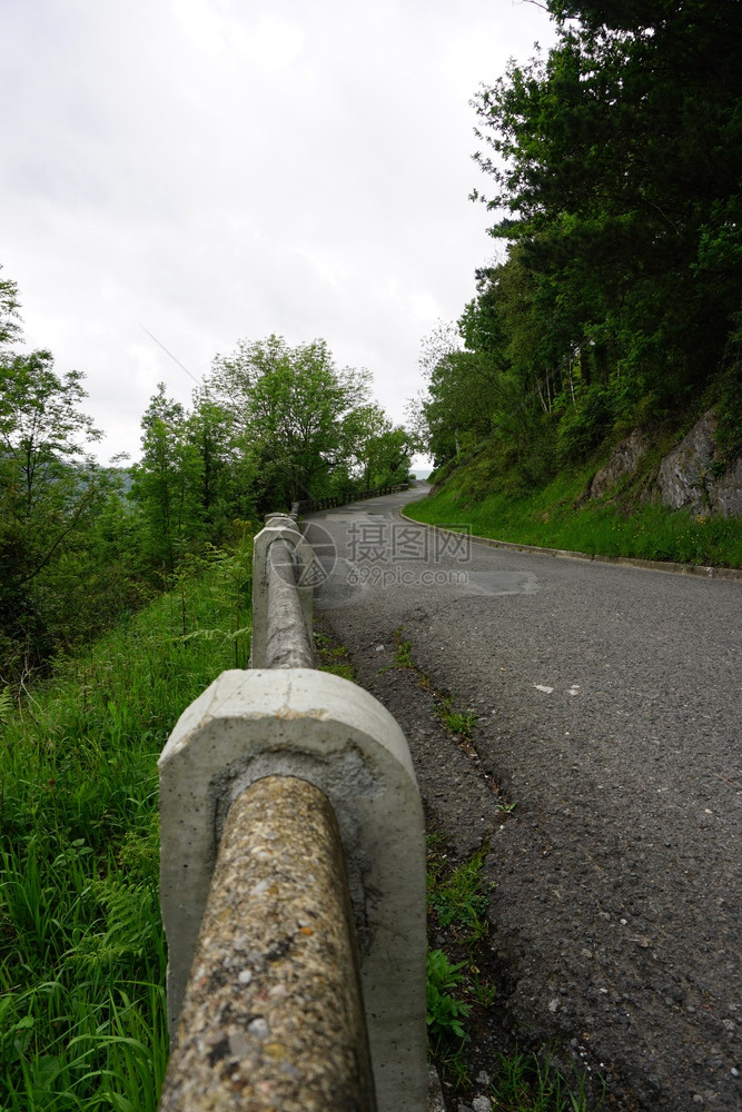 道路和树木图片