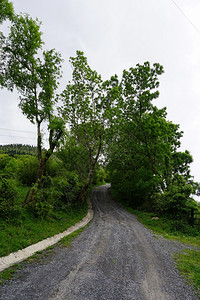 山中的道路图片