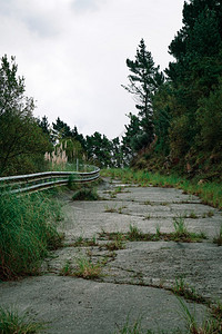 破碎的道路和树木图片