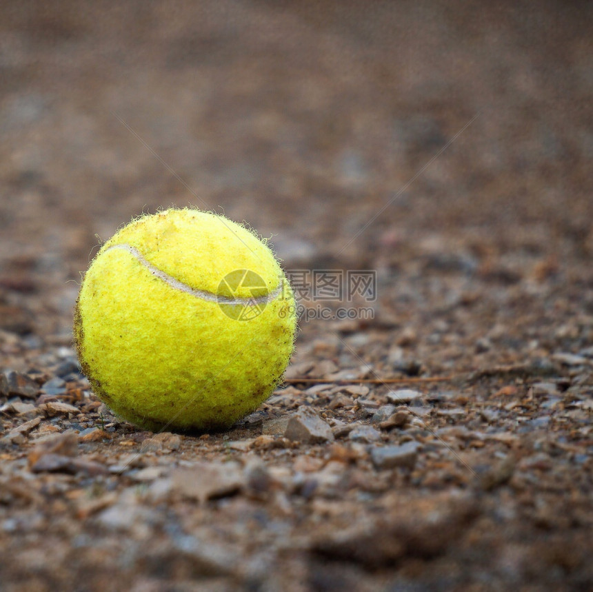 黄网球图片