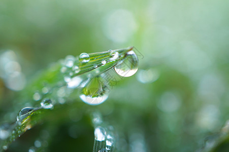 草矢量绿草地上的雨滴背景