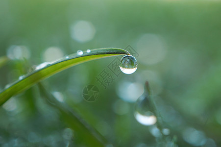 雨矢量绿草地上的雨滴背景