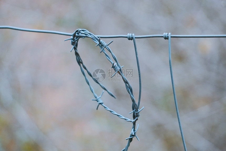 自然质的旧金属铁刺丝网栅栏图片
