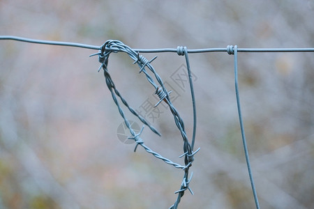 自然质的旧金属铁刺丝网栅栏背景图片