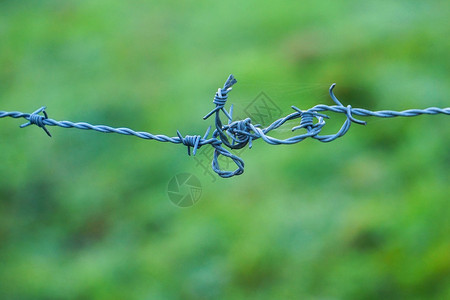 自然质的旧金属铁刺丝网栅栏背景图片