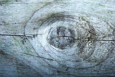 木背景纹理样式图片