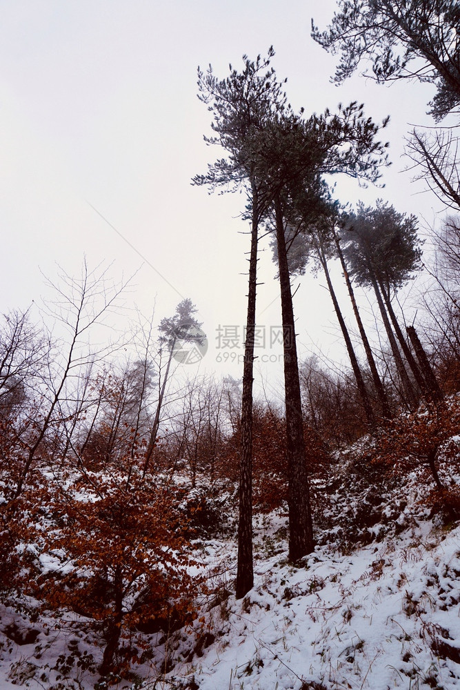 西班牙毕尔巴鄂岛冬季白日寒冬季雪中山图片