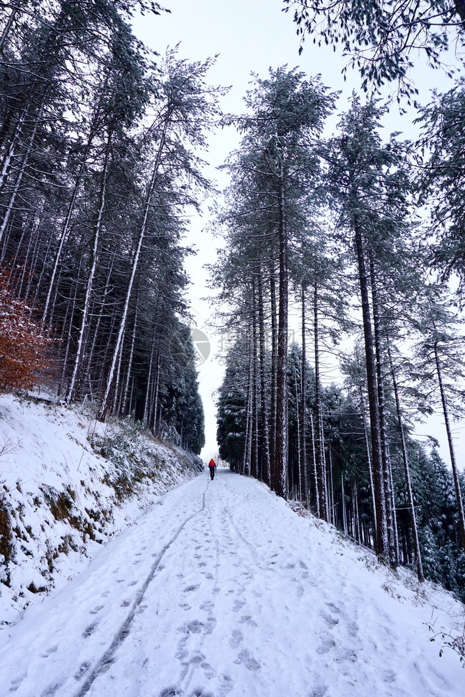 西班牙毕尔巴鄂岛冬季白日寒冬季雪中山图片