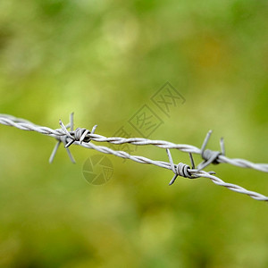 旧金属铁刺丝网围栏图片
