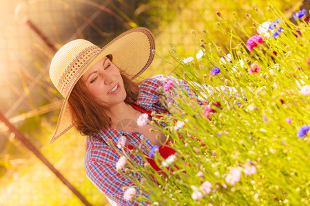 身戴大草帽的成熟女人在后院园艺图片