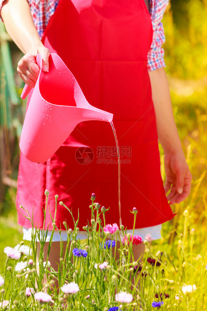 园艺在后院的花房里工作的近身女子在户外为花朵浇水图片