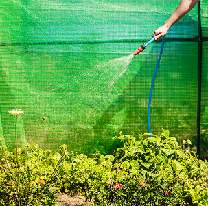 浇水花园设备手持灌溉植物的喷水管图片