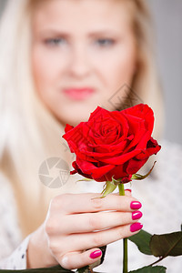 浪漫情人节礼物概念美丽的金发年轻女子拿着红玫瑰手图片