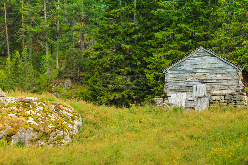 挪威森林中的老木小屋图片