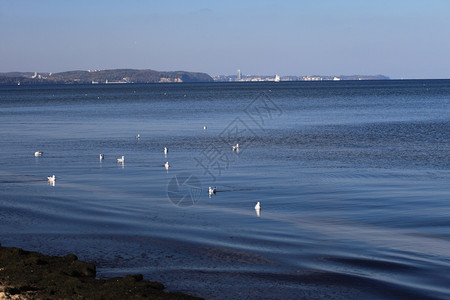 户外蓝海风景波兰图片