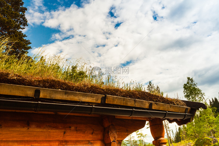挪威典型的屋顶有草乡村住房图片