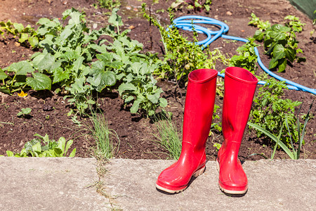 花园艺工具用红色胶靴图片