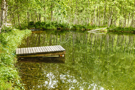 夏季在湖池的旧木头码宁静的挪威风景图片