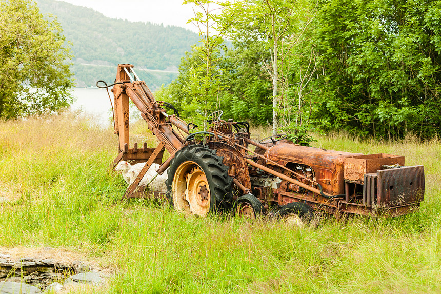 荒废的旧农用机械在高草地上铺满了生锈在阳光明媚的一天外门拍摄图片