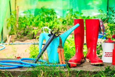 在花园户外的艺工具红色橡胶靴水可以放蓝色管底温室图片