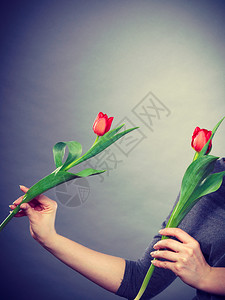 年轻自然美貌植物概念女持有红花展示郁金香的人女持有红花图片