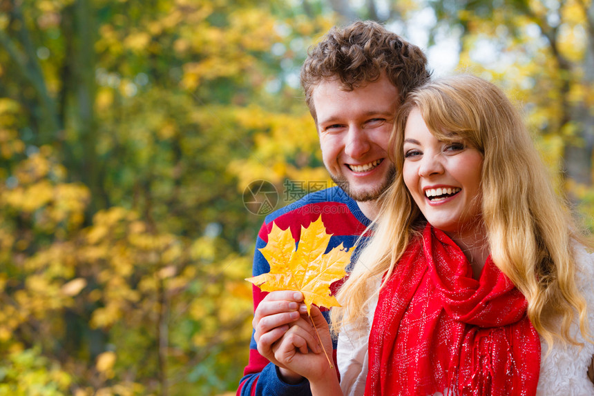 年轻情侣在秋天公园散步捡起树叶图片