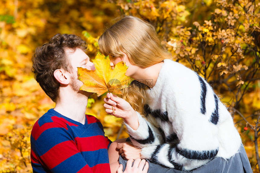 爱情约会和人的概念在秋天公园里把躲在红叶吻的情侣关在秋天公园里图片