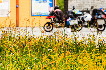 黄色摩托车夏季旅游露天黄花和背景休息场所的摩托车休闲场所的黄花和摩托车背景