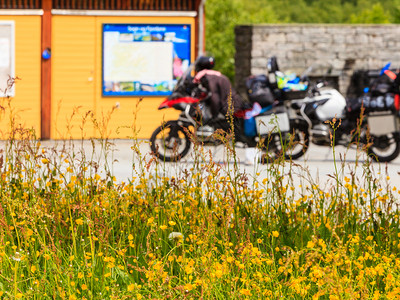 夏季旅游露天黄花和背景休息场所的摩托车休闲场所的黄花和摩托车图片