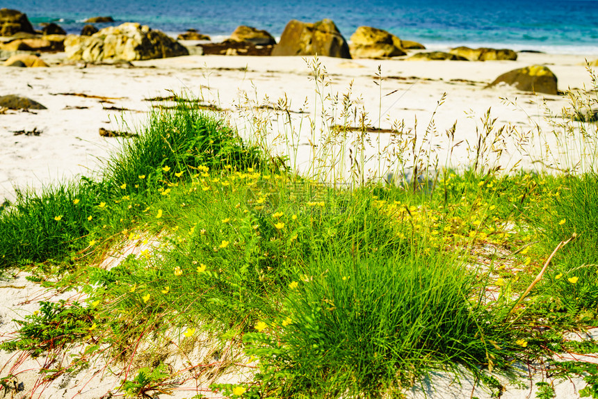 挪威安多亚Vesteralen群岛挪威布莱克安多亚海滨沙滩挪威布莱克安多亚海沿岸沙滩图片