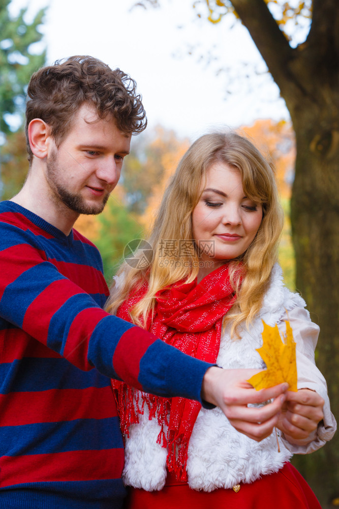 年轻时尚情侣在秋天公园散步玩着Mamele叶子的游戏图片