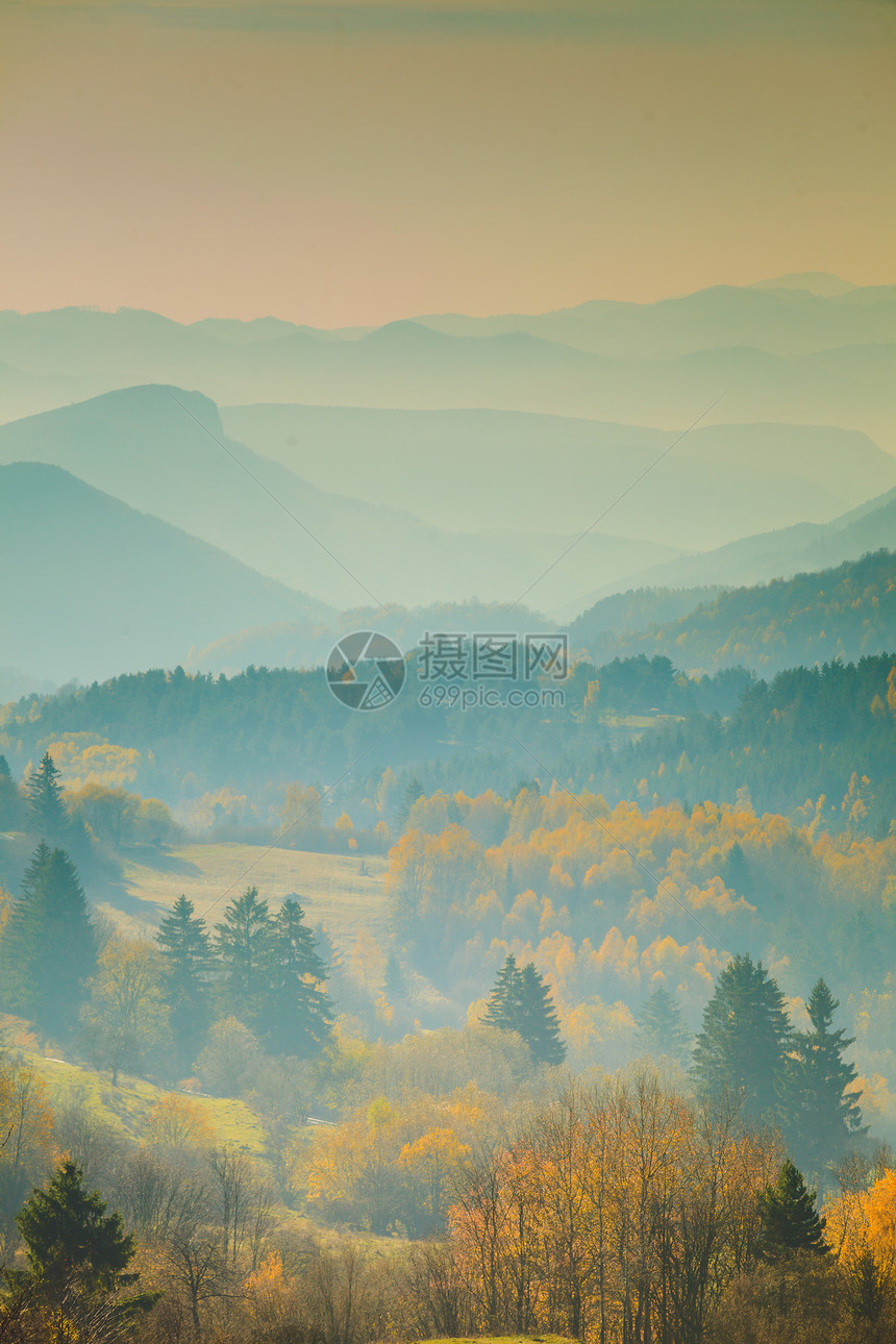 斯洛伐克塔特拉岛秋大雾的山地景观清晨雾盛的山丘上秋色树季节自然景观斯洛伐克秋大雾的山地景观图片