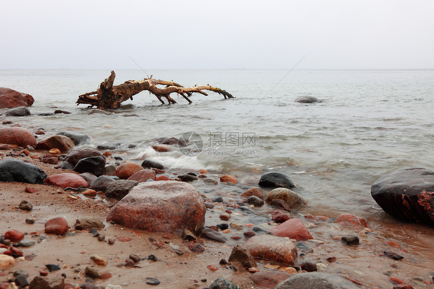 波兰格丁尼亚奥罗沃的海水中石块图片