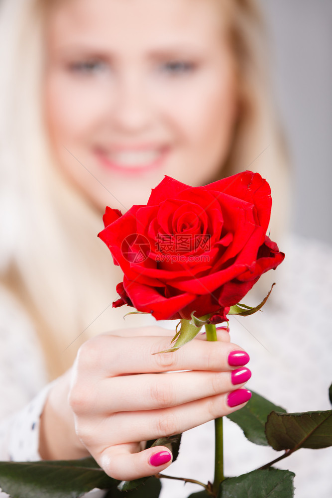 浪漫情人节礼物概念美丽的金发年轻女子拿着红玫瑰手图片