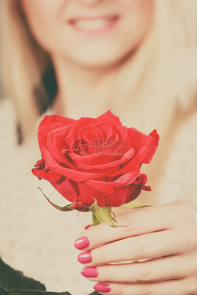 礼物和爱情符号日期和人节握着红色一朵玫瑰花的柔情女手送礼物给女感情迹象10张蓝色的彩背景拿着红玫瑰花的女手红玫瑰花图片