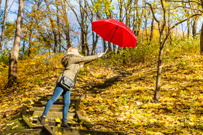 秋天气概念在公园中行走的妇女拿着红色雨伞与强风战斗图片