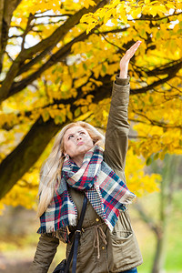 妇女走在公园里试图触摸树上的金秋叶图片