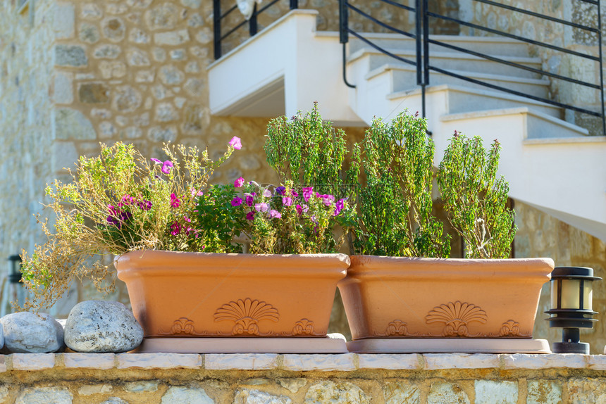 花园里的花房子外面用砖砌成的橘棕色大花盆里的植物砖黄色花盆里的花和植物图片