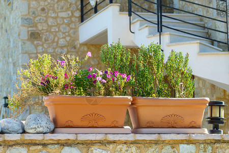 花园里的花房子外面用砖砌成的橘棕色大花盆里的植物砖黄色花盆里的花和植物背景图片