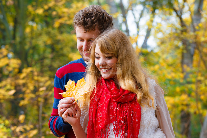 情侣一起拿起美丽的树叶图片