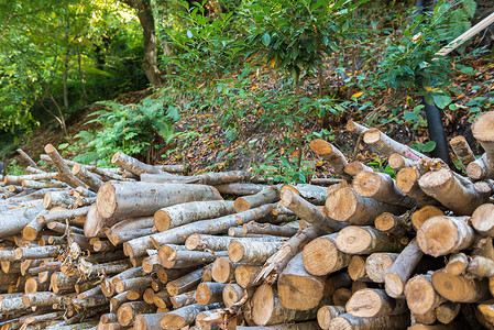 一堆准备过冬的原木一堆劈柴一堆准备过冬的原木背景图片