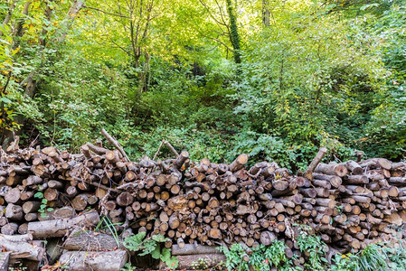 一堆准备过冬的原木一堆劈柴一堆准备过冬的原木背景图片