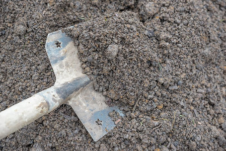 软天然土壤堆放的沙滩土壤中插入了绿化工具土壤中插入了园艺工具图片