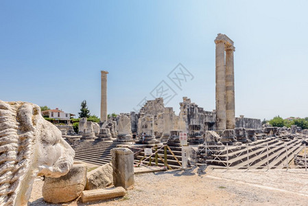 艾斯特劳姆与狮子雕塑一起在前方土耳其Aydin省DidimDidyma土耳其Europea的考古区参观阿波罗寺在土耳其Aydin的Didi背景